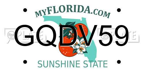 GQDV59 Florida License Plate