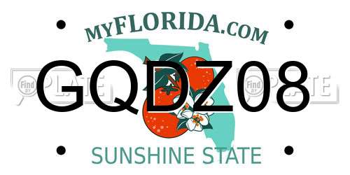 GQDZ08 Florida License Plate