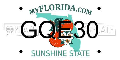 GQE30 Florida License Plate