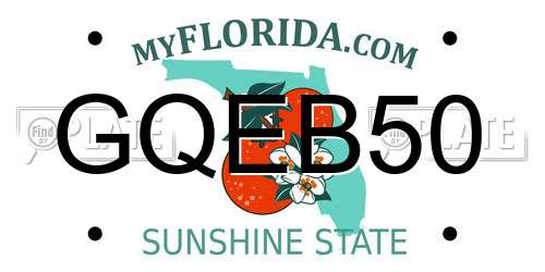 GQEB50 Florida License Plate