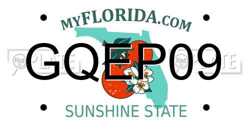 GQEP09 Florida License Plate