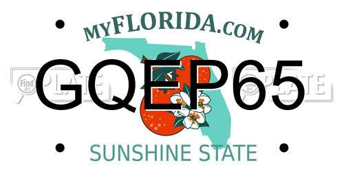 GQEP65 Florida License Plate