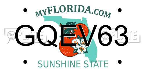 GQEV63 Florida License Plate