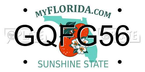 GQFG56 Florida License Plate