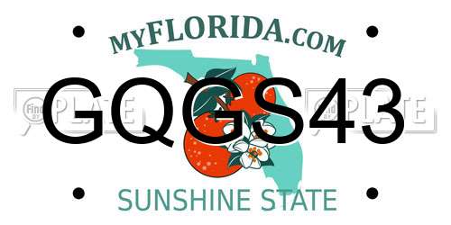 GQGS43 Florida License Plate