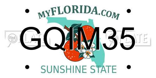 GQIM35 Florida License Plate