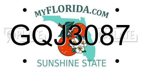 GQJ3087 Florida License Plate