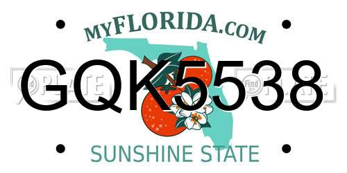 GQK5538 Florida License Plate