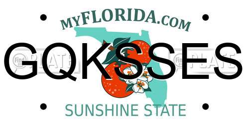 GQKSSES Florida License Plate