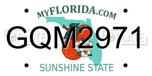 GQM2971 Florida License Plate