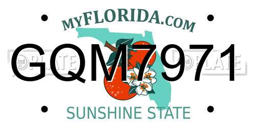 GQM7971 Florida License Plate