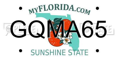 GQMA65 Florida License Plate