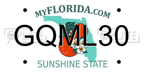 GQML30 Florida License Plate