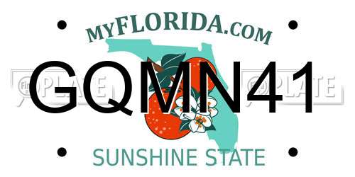 GQMN41 Florida License Plate