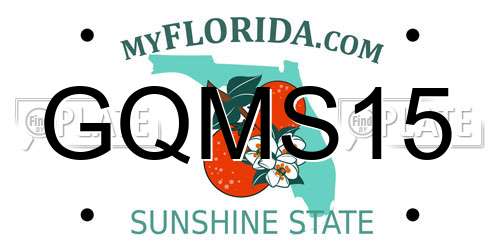 GQMS15 Florida License Plate