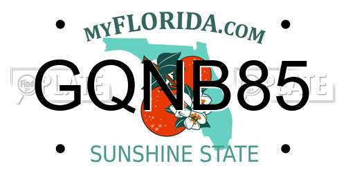 GQNB85 Florida License Plate