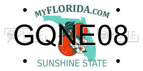 GQNE08 Florida License Plate