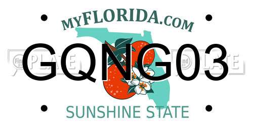 GQNG03 Florida License Plate
