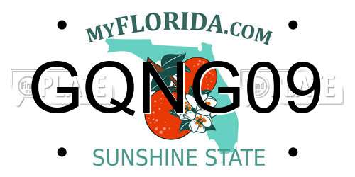 GQNG09 Florida License Plate