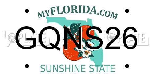 GQNS26 Florida License Plate