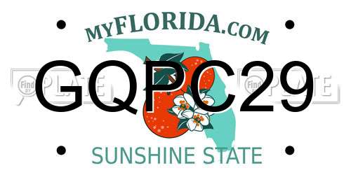 GQPC29 Florida License Plate