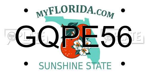 GQPE56 Florida License Plate