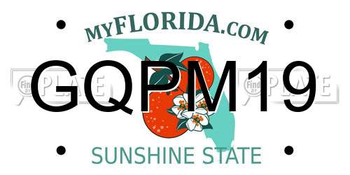 GQPM19 Florida License Plate