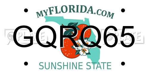 GQRQ65 Florida License Plate