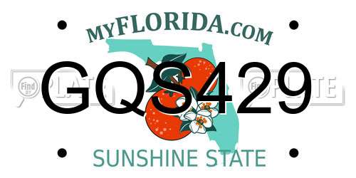 GQS429 Florida License Plate