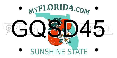 GQSD45 Florida License Plate