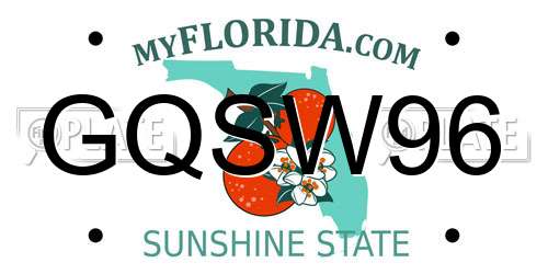 GQSW96 Florida License Plate