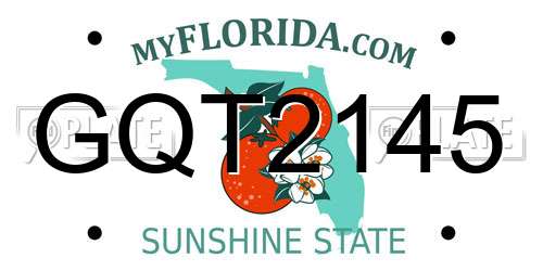 GQT2145 Florida License Plate