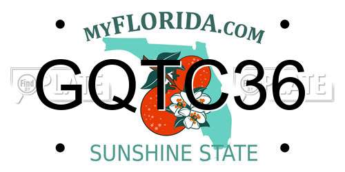 GQTC36 Florida License Plate