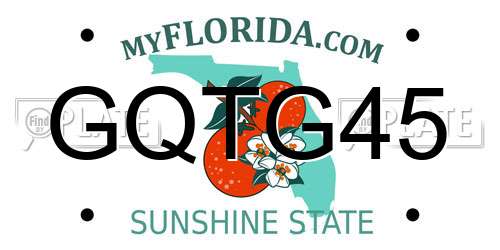 GQTG45 Florida License Plate