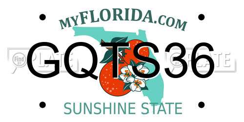 GQTS36 Florida License Plate