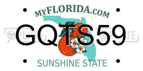 GQTS59 Florida License Plate