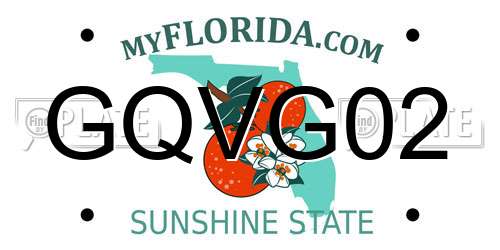 GQVG02 Florida License Plate
