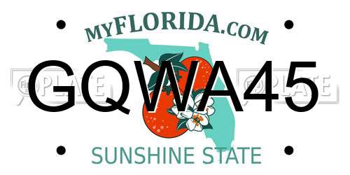 GQWA45 Florida License Plate