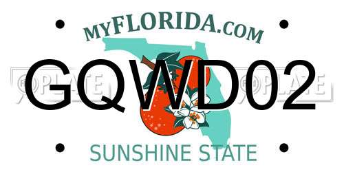 GQWD02 Florida License Plate
