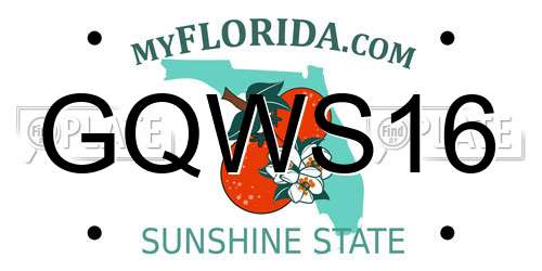 GQWS16 Florida License Plate