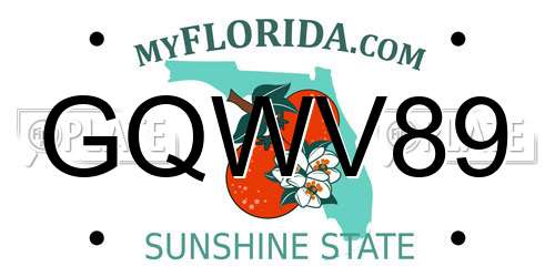 GQWV89 Florida License Plate