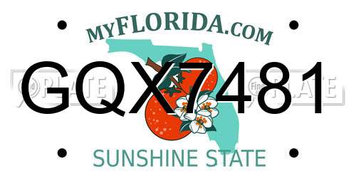 GQX7481 Florida License Plate
