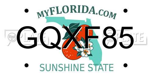 GQXF85 Florida License Plate
