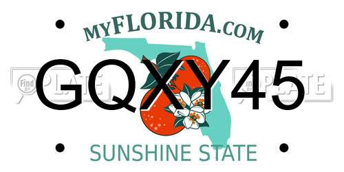GQXY45 Florida License Plate