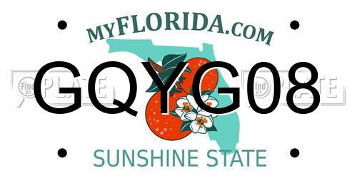 GQYG08 Florida License Plate