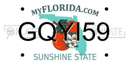 GQYI59 Florida License Plate