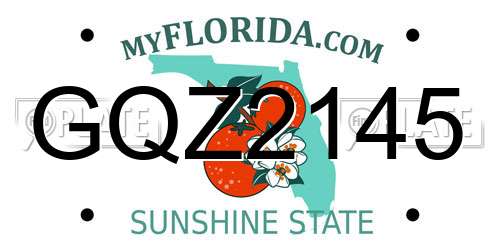 GQZ2145 Florida License Plate