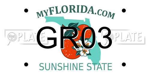 GR03 Florida License Plate