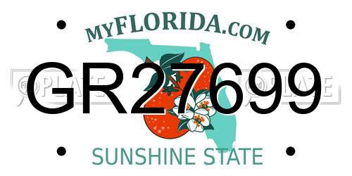 GR27699 Florida License Plate