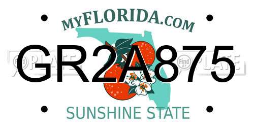 GR2A875 Florida License Plate